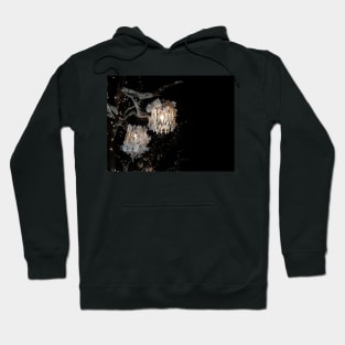 Winter lights Hoodie